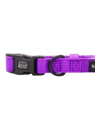 Dog Collar - Neon Purple