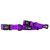 Dog Collar - Neon Purple - Neon Purple