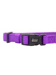 Dog Collar - Neon Purple
