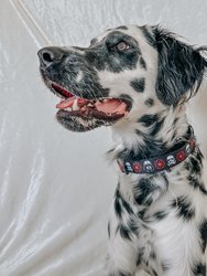 Dog Collar - Star Wars™ The Dark Side
