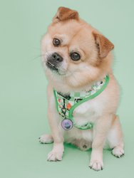 Dog Collar Tag - Mojo Jojo™