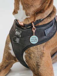 Dog Collar Tag - Sweet, Sassy, and Spoiled