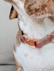 Dog Collar - Teddy