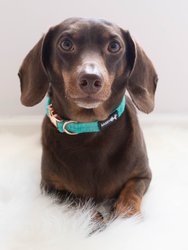 Dog Collar - Wag Your Teal