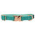 Dog Collar - Wag Your Teal