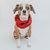 Dog Infinity Scarf - Red