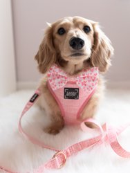 Dog Leash - Dolce Rose