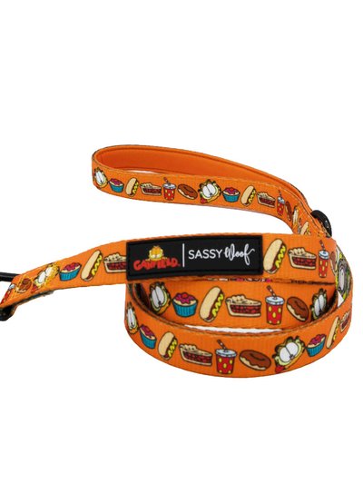 Sassy Woof Dog Leash - Garfield™ product