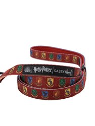 Dog Leash - Harry Potter™ - Harry Potter