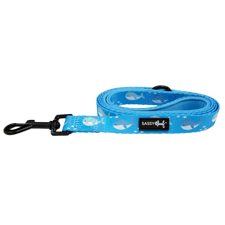 Dog Leash - Might As Whale