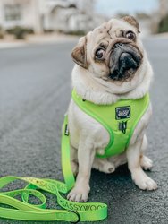 Dog Leash - Neon Green
