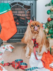 Dog Leash - O Christmas Treat