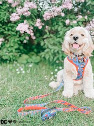 Dog Leash - Superman™