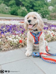 Dog Leash - Superman™