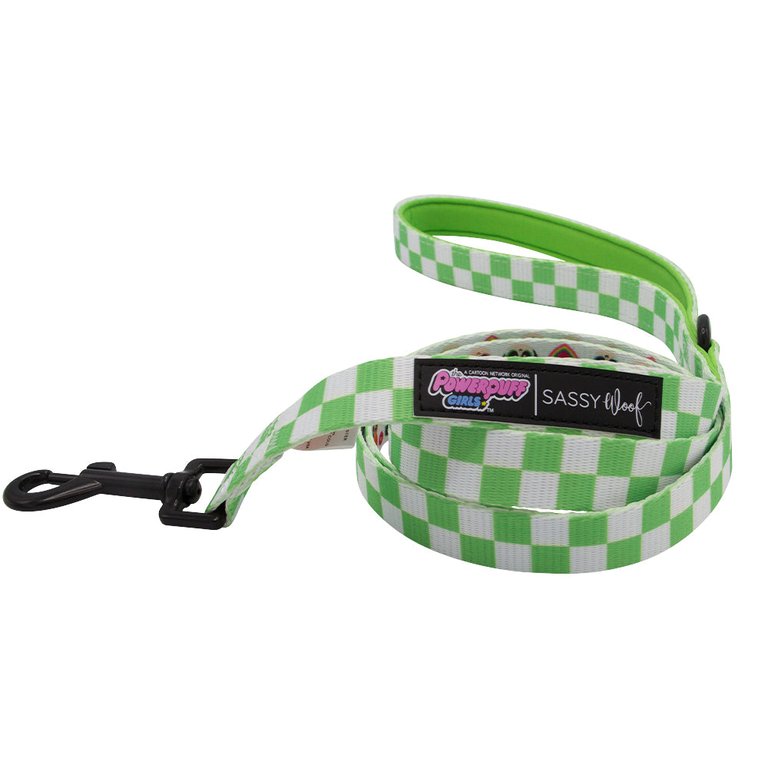 Dog Leash - The Powerpuff Girls™ - Green - Green