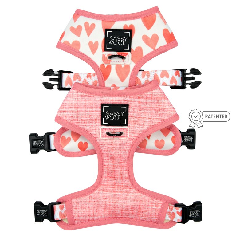 Dog Reversible Harness - Dolce Rose