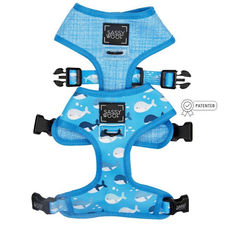 Dog Reversible Harness - Might As Whale - Might As Whale