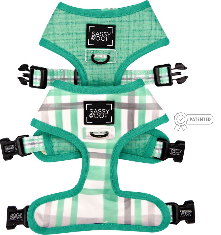 Dog Reversible Harness - Wag Your Teal