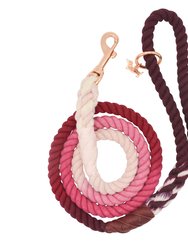 Dog Rope Leash - Amore - Multi