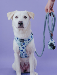 Dog Rope Leash - Azul