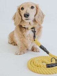 Dog Rope Leash - Neon Yellow