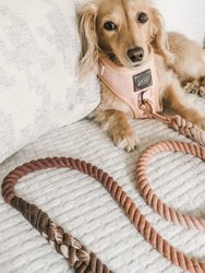 Dog Rope Leash - Sicily