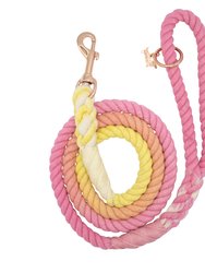 Dog Rope Leash - Sunkissed - Sunkissed