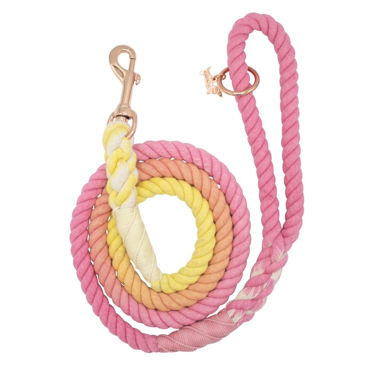 Dog Rope Leash - Sunkissed - Sunkissed