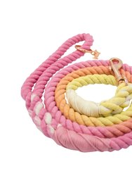 Dog Rope Leash - Sunkissed