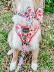 Dog Sailor Bow - Floral Frenzy