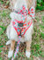 Dog Sailor Bow - Floral Frenzy