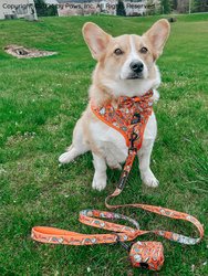 Dog Sailor Bow - Garfield™