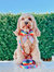 Dog Sailor Bow - Love You Fur You