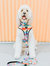 Dog Sailor Bow - Love You Fur You