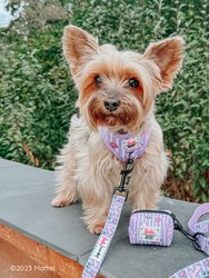 Dog Waste Bag Holder - Barbie™ Closet Goals