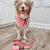 Dog Waste Bag Holder - Barbie™ Malibu