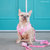 Dog Waste Bag Holder - Barbie™ Malibu