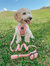 Dog Waste Bag Holder - Dolce Rose