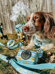 Dog Waste Bag Holder - Pawketful Of Sunshine