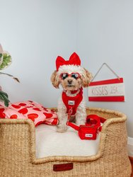 Dog Waste Bag Holder - Red Velvet