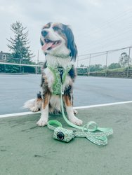 Dog Waste Bag Holder - Serving Up Sass