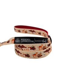 Leash - Fantastic Beasts - Multi Color