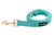 Leash - Wag your Teal