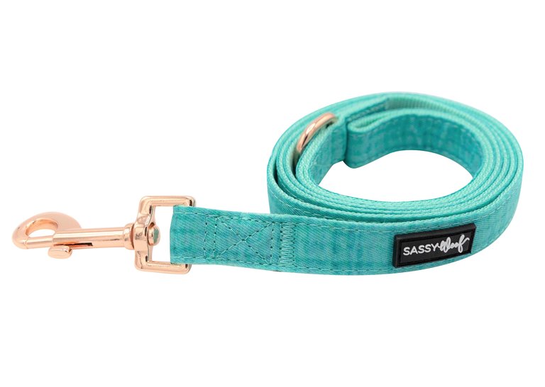 Leash - Wag your Teal