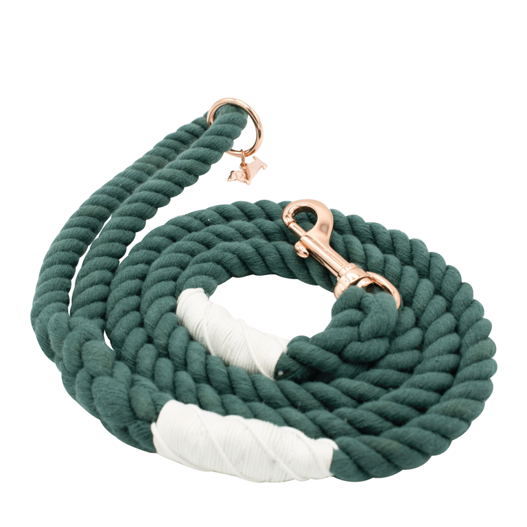 Rope Leash - Emerald