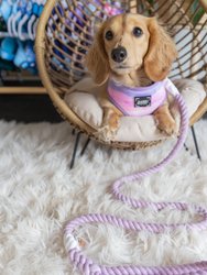 Rope Leash - Lavender