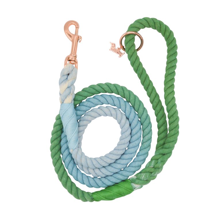 Rope Leash - Minty - Multi