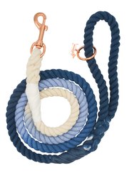 Rope Leash - Ombre Blue - Ombre Blue