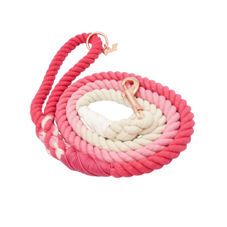 Rope Leash - Ombre Pink