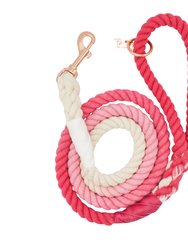 Rope Leash - Ombre Pink - Multi